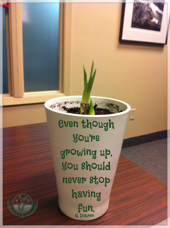 Week 2 of Espy, the growing plant of hope at Bergen and Associates Counselling in Winnipeg